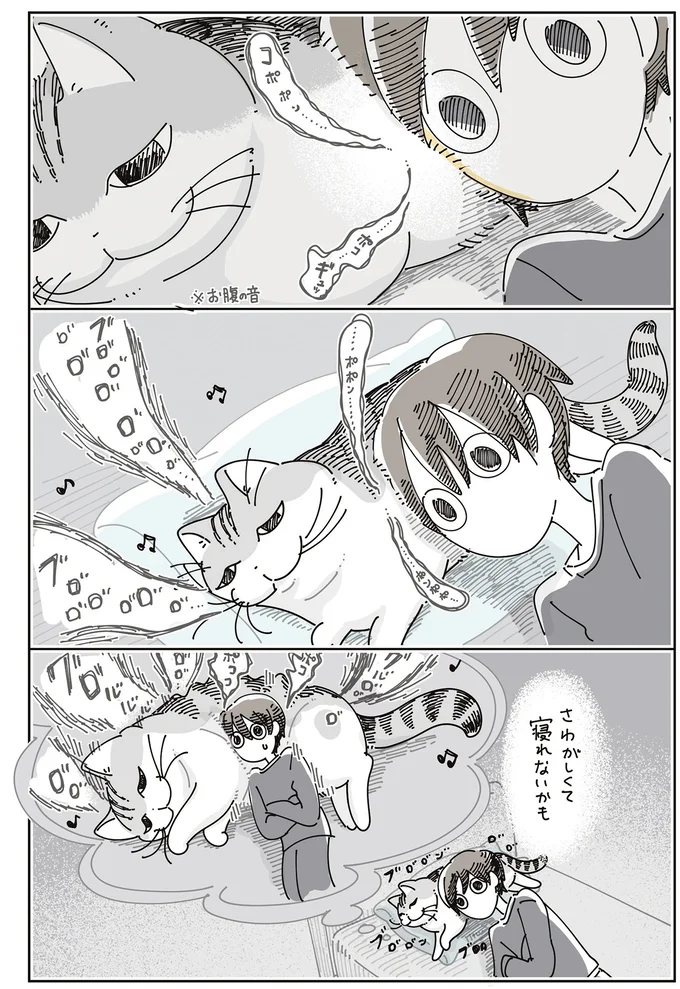 『夜は猫といっしょ』7～8 15588702.webp