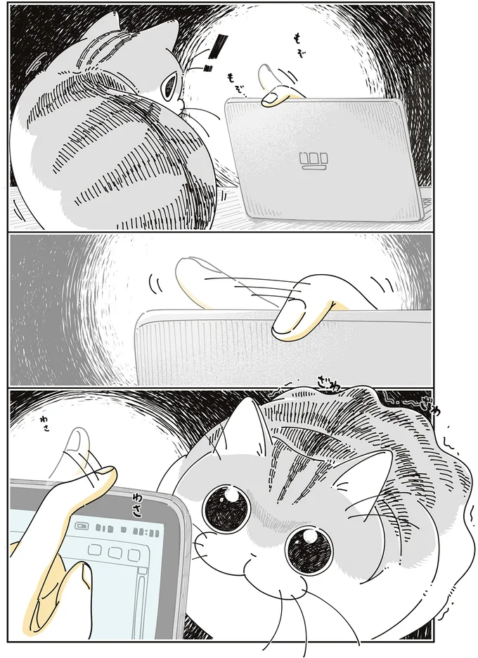 『夜は猫といっしょ』7～8 15588704.webp