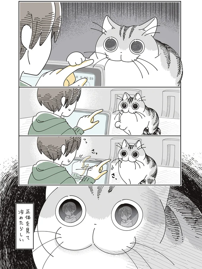 『夜は猫といっしょ』7～8 15588706.webp