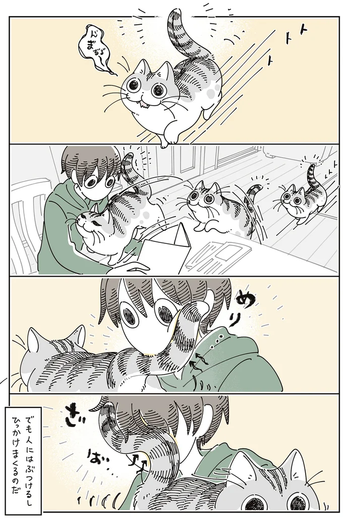 『夜は猫といっしょ』7～8 15588710.webp