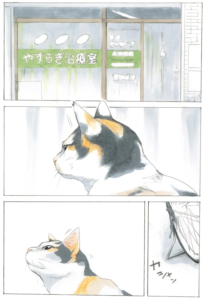 10年前に店先で出会った三毛猫。「やすらぎ治療室」で紡がれた出会いの物語／続 ミケちゃんとやすらぎさん 15592929.webp