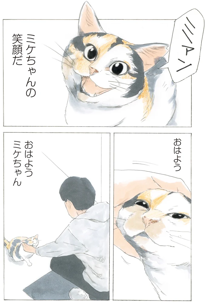 10年前に店先で出会った三毛猫。「やすらぎ治療室」で紡がれた出会いの物語／続 ミケちゃんとやすらぎさん 15592931.webp