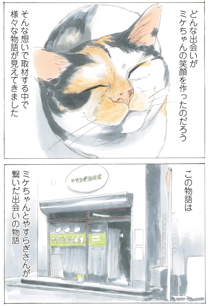 10年前に店先で出会った三毛猫。「やすらぎ治療室」で紡がれた出会いの物語／続 ミケちゃんとやすらぎさん 15592934.webp