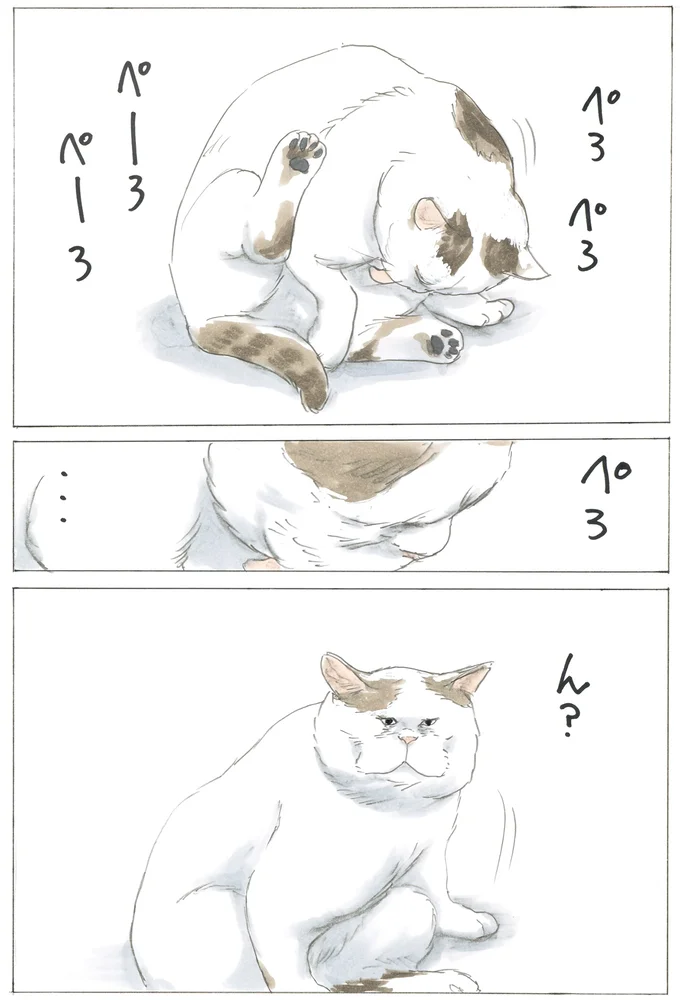 ミケちゃんがご飯を分けていたボス猫・シロ。孤独に生きた君は最後に何を思った？／続 ミケちゃんとやすらぎさん 15600262.webp