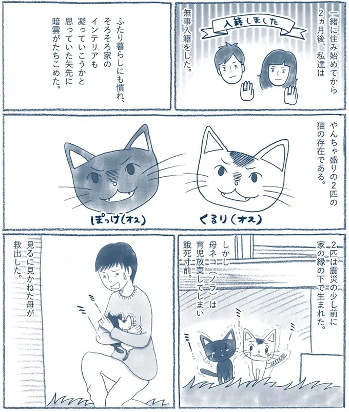 『わたしのウチには、なんにもない。』 15603843.webp