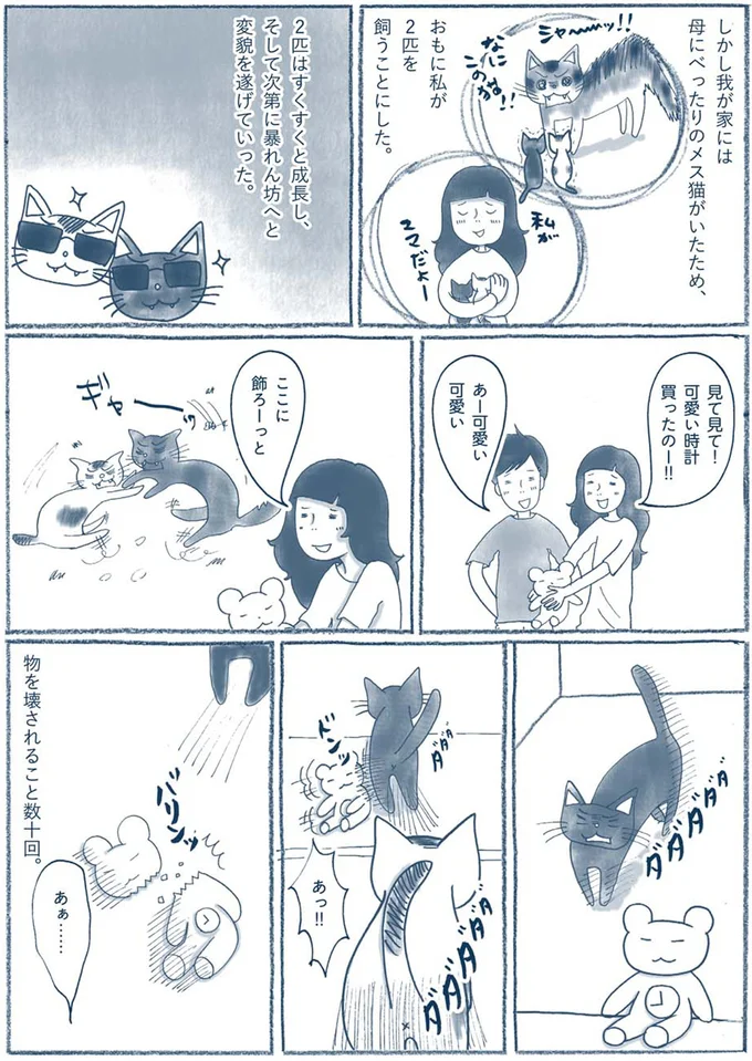 『わたしのウチには、なんにもない。』 15603844.webp