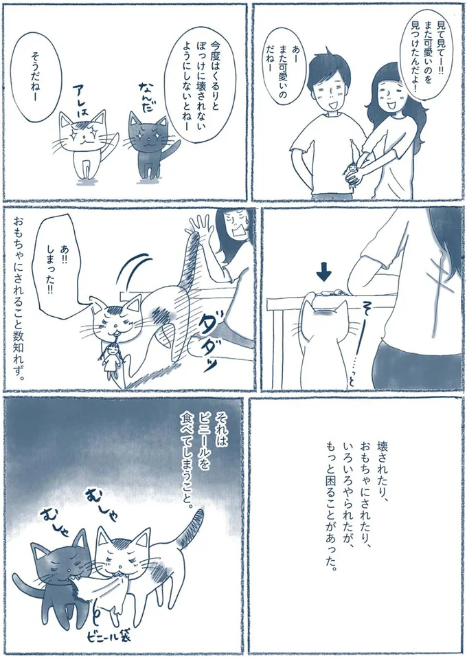 『わたしのウチには、なんにもない。』 15603845.webp