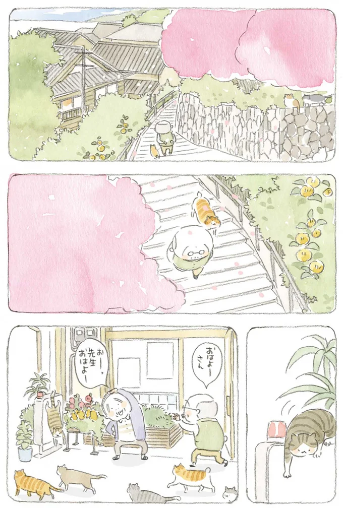 『ねことじいちゃん』1～5 15605979.webp