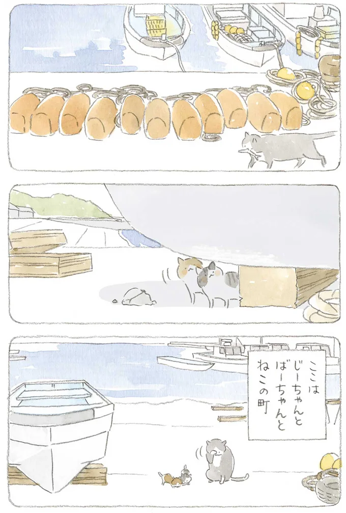 『ねことじいちゃん』1～5 15605984.webp