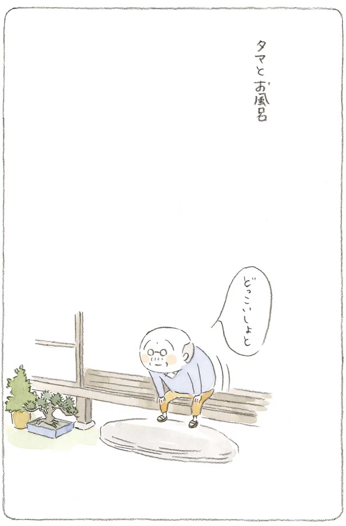 『ねことじいちゃん』1～5 15606094.webp