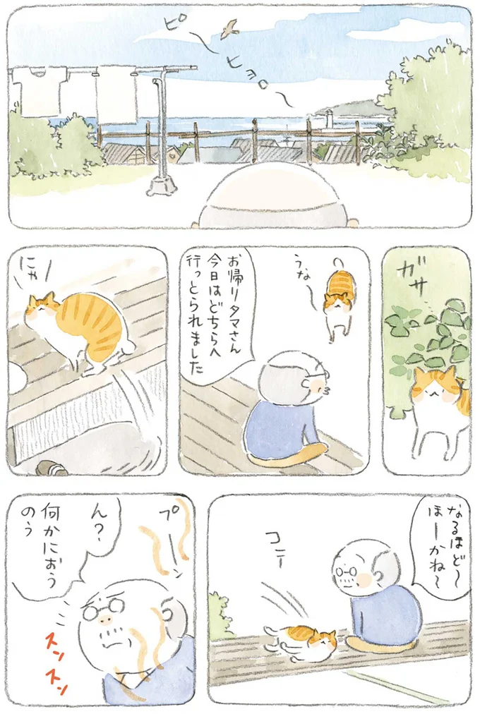 『ねことじいちゃん』1～5 15606095.webp