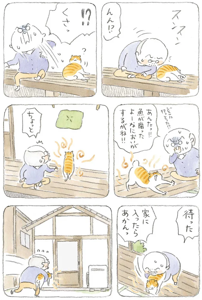 『ねことじいちゃん』1～5 15606096.webp