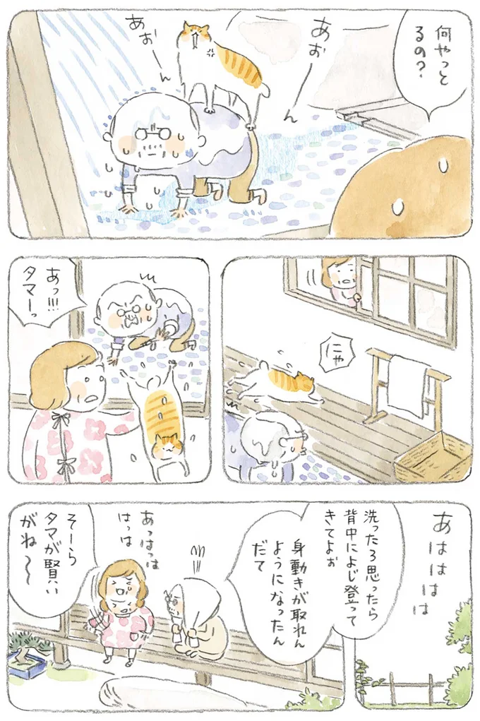『ねことじいちゃん』1～5 15606099.webp