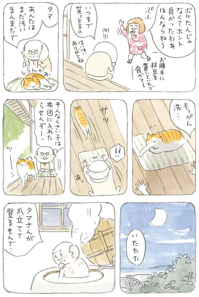 『ねことじいちゃん』1～5 15606100.webp