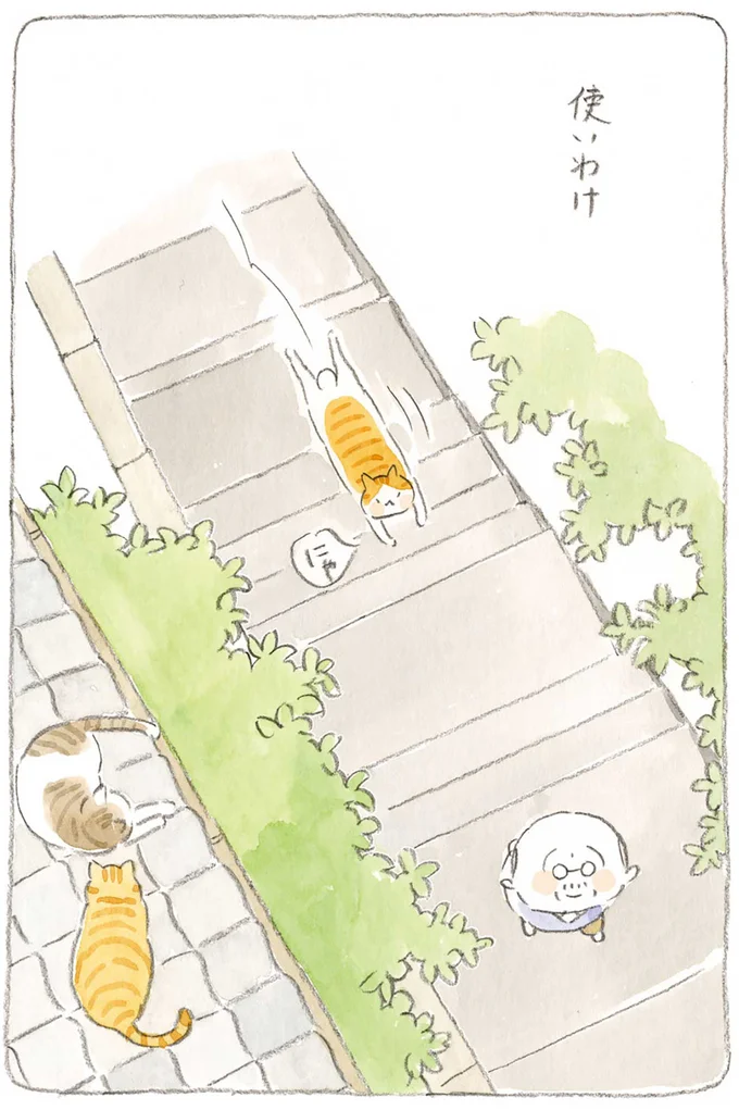 『ねことじいちゃん』1～5 15606308.webp