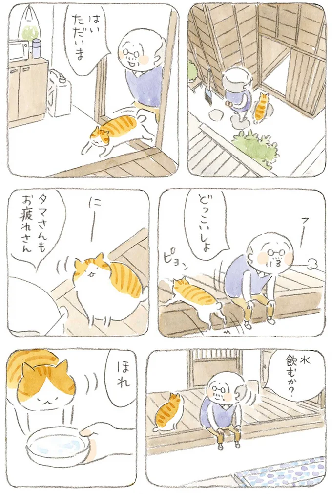 『ねことじいちゃん』1～5 15606309.webp