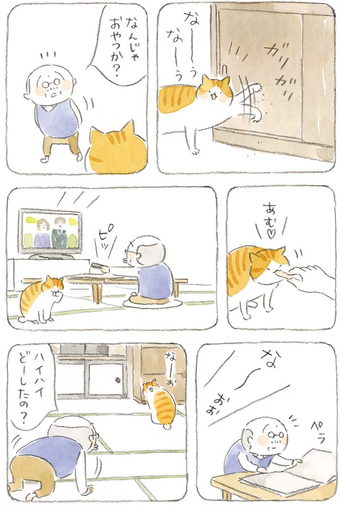 『ねことじいちゃん』1～5 15606311.webp
