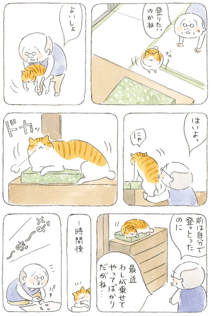 『ねことじいちゃん』1～5 15606312.webp