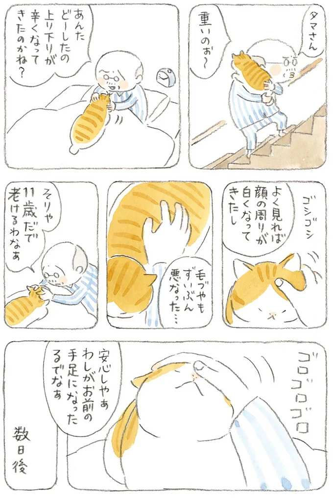 『ねことじいちゃん』1～5 15606314.webp