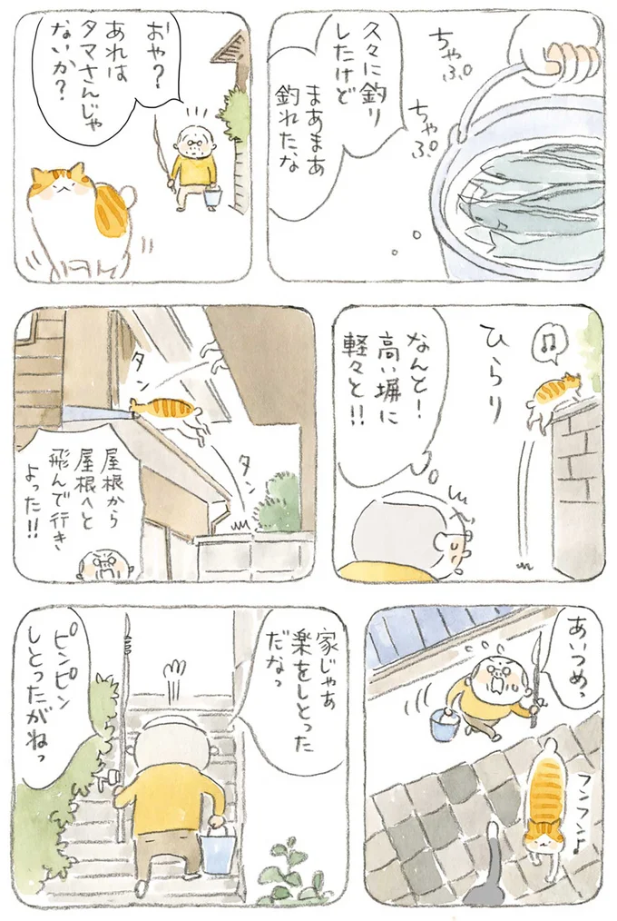 『ねことじいちゃん』1～5 15606315.webp