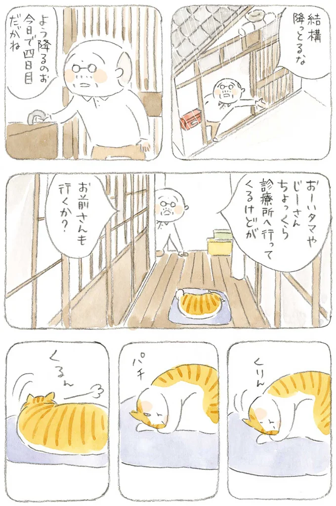 『ねことじいちゃん』1～5 15606362.webp
