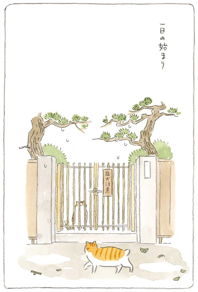 『ねことじいちゃん』1～5 15606395.webp