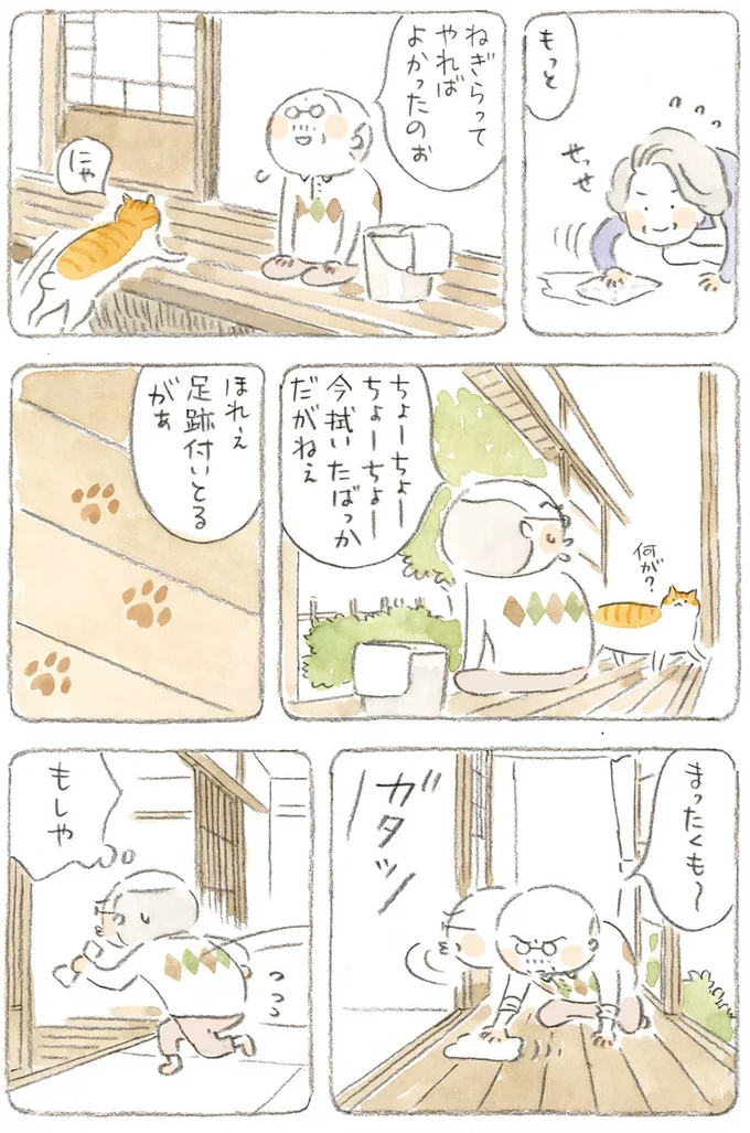 『ねことじいちゃん』1～5 15606398.webp