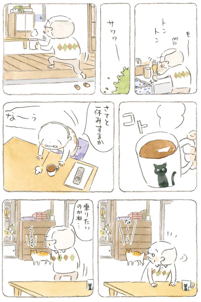 『ねことじいちゃん』1～5 15606400.webp