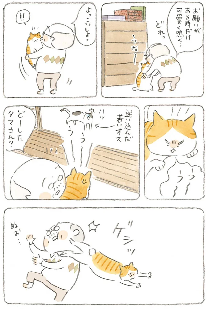 『ねことじいちゃん』1～5 15606401.webp