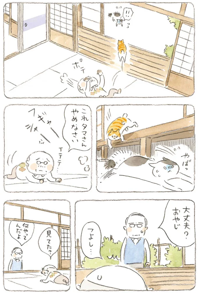 『ねことじいちゃん』1～5 15606402.webp