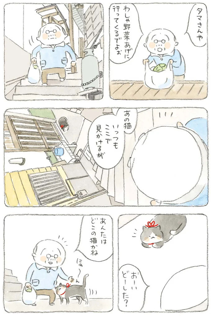 『ねことじいちゃん』1～5 15606412.webp