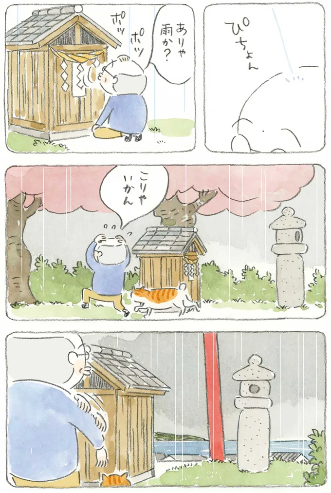 『ねことじいちゃん』1～5 15610669.webp