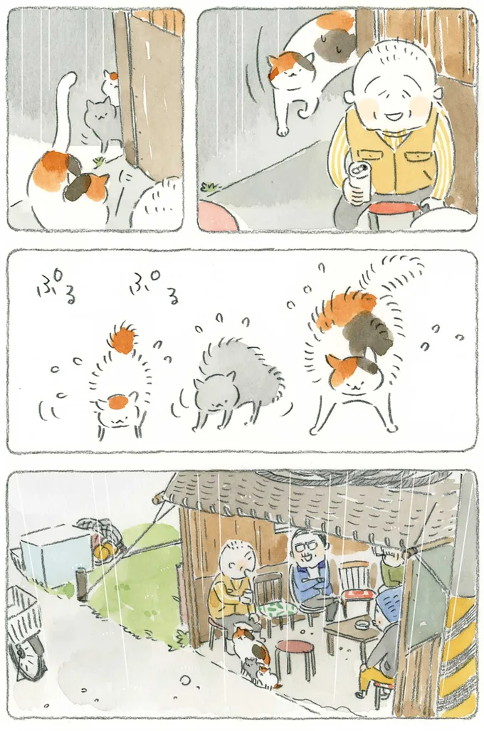 『ねことじいちゃん』1～5 15610671.webp