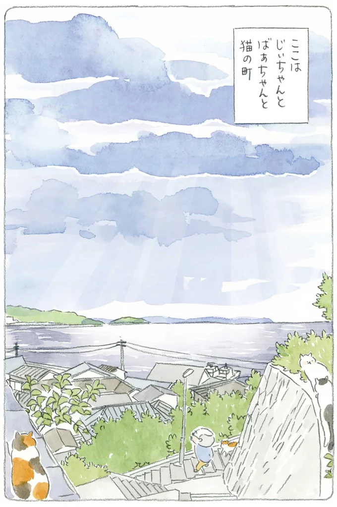 『ねことじいちゃん』1～5 15610675.webp