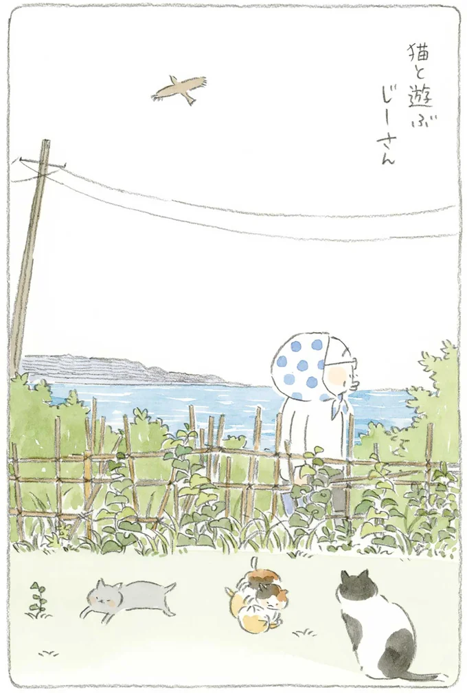 『ねことじいちゃん』1～5 15610719.webp