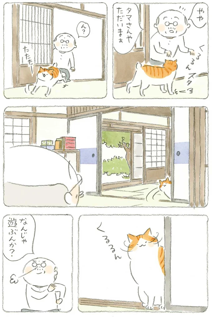 『ねことじいちゃん』1～5 15610721.webp