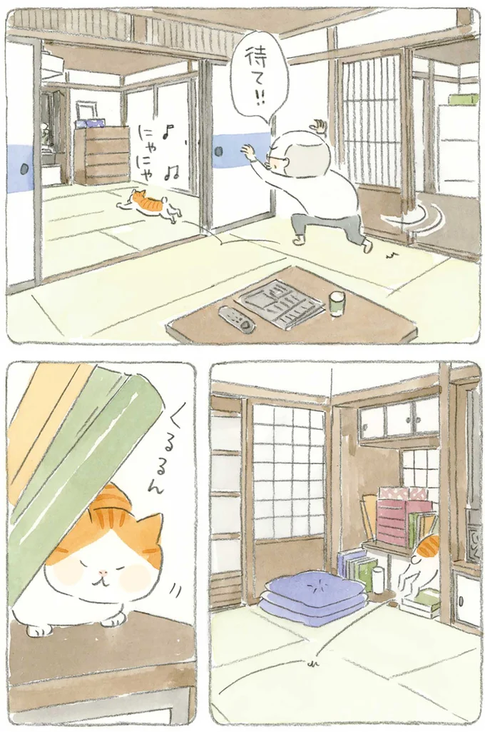 『ねことじいちゃん』1～5 15610722.webp