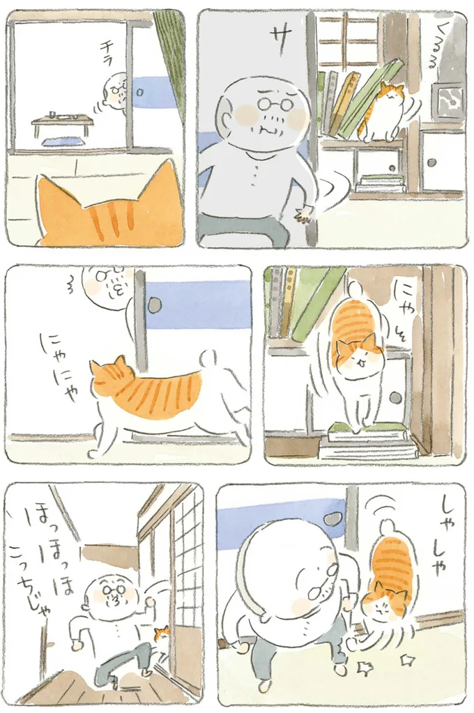 『ねことじいちゃん』1～5 15610723.webp