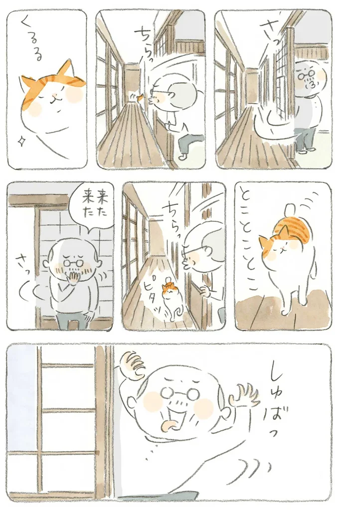 『ねことじいちゃん』1～5 15610724.webp