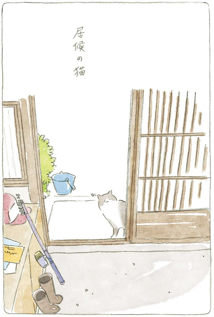 『ねことじいちゃん』1～5 15610939.webp