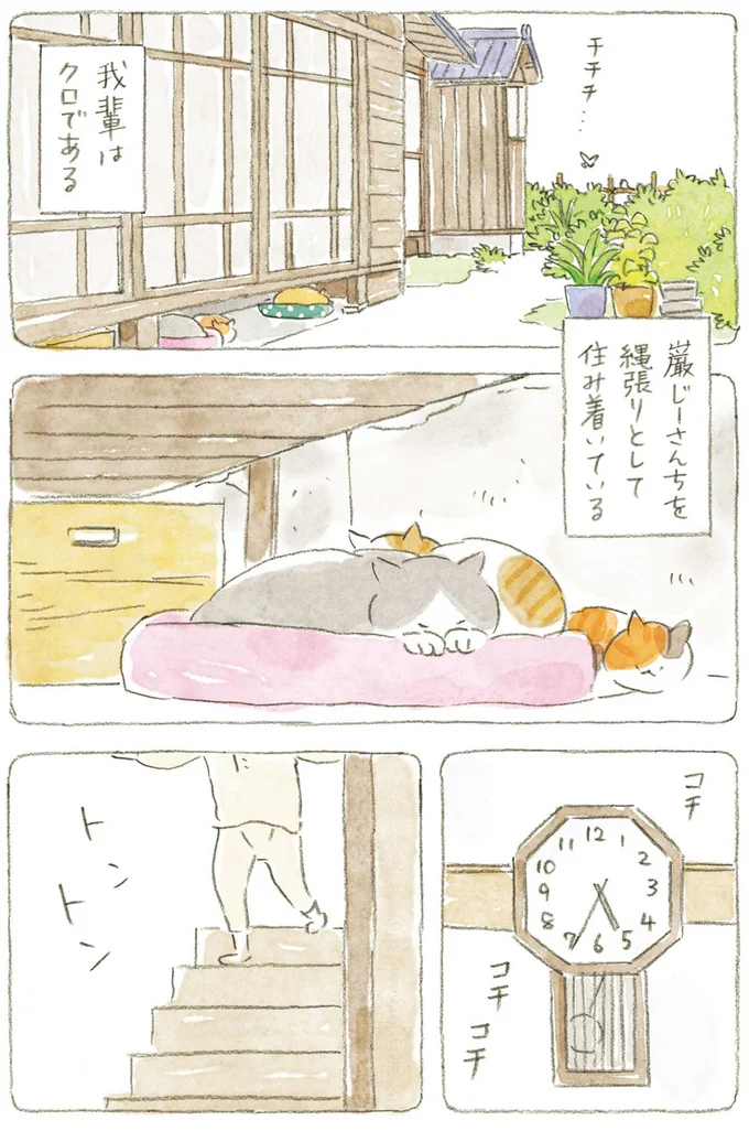 『ねことじいちゃん』1～5 15610940.webp
