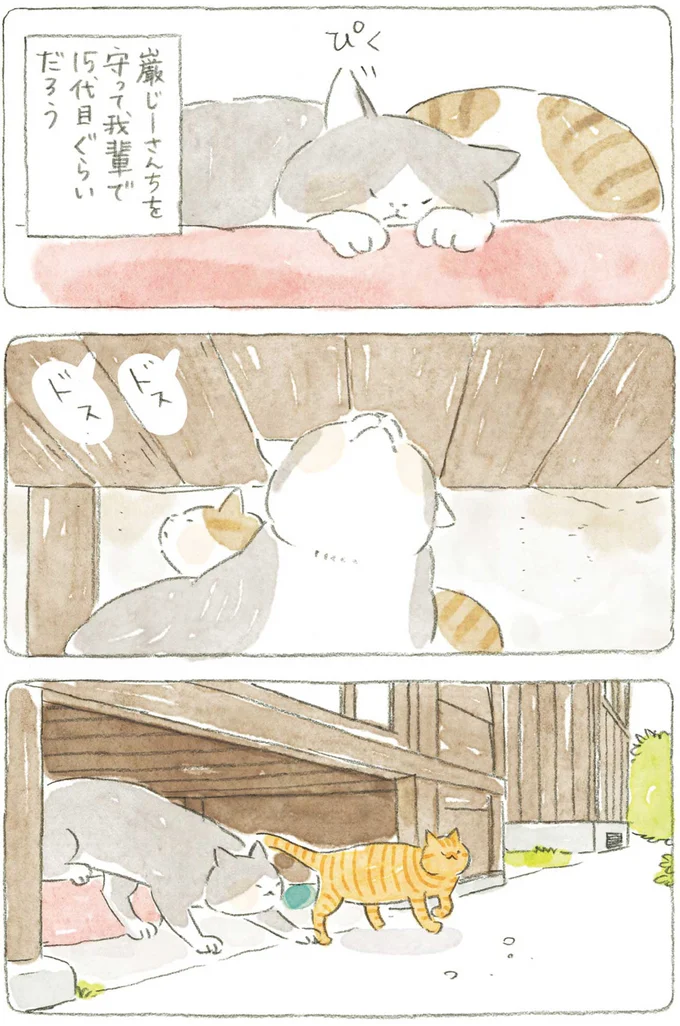 『ねことじいちゃん』1～5 15610941.webp