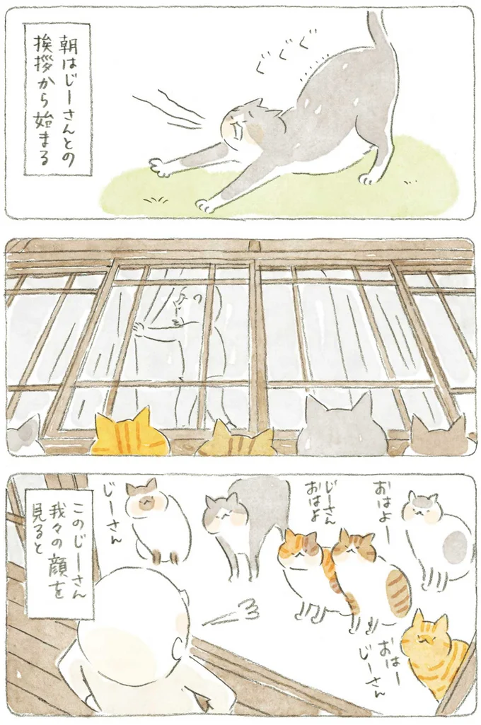 『ねことじいちゃん』1～5 15610942.webp