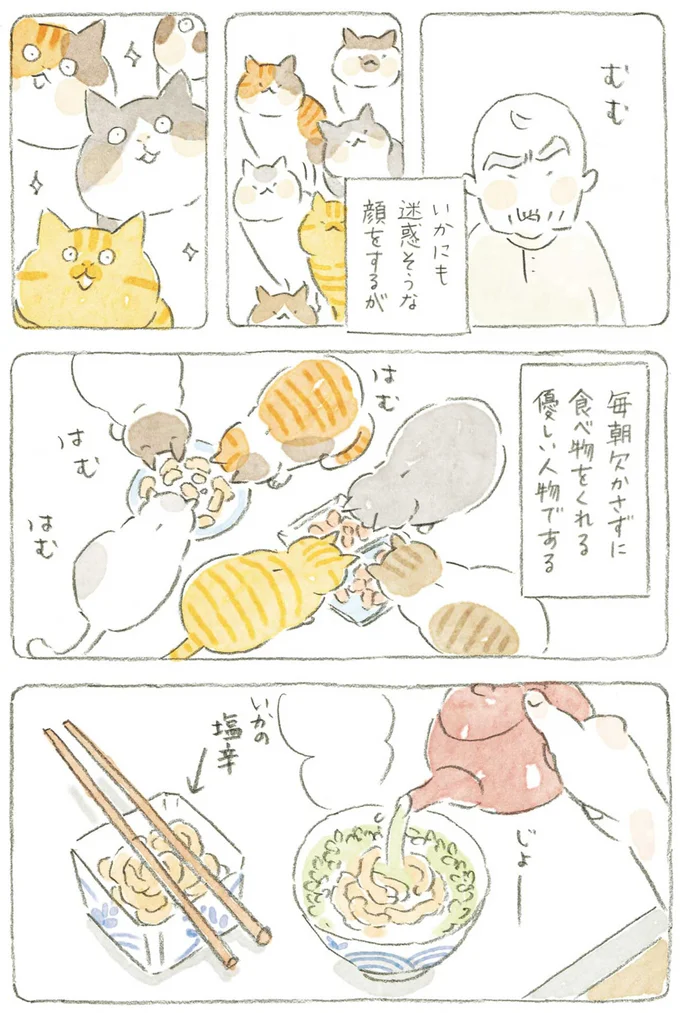 『ねことじいちゃん』1～5 15610943.webp