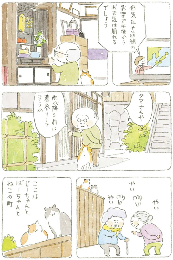 『ねことじいちゃん』1～5 15610946.webp