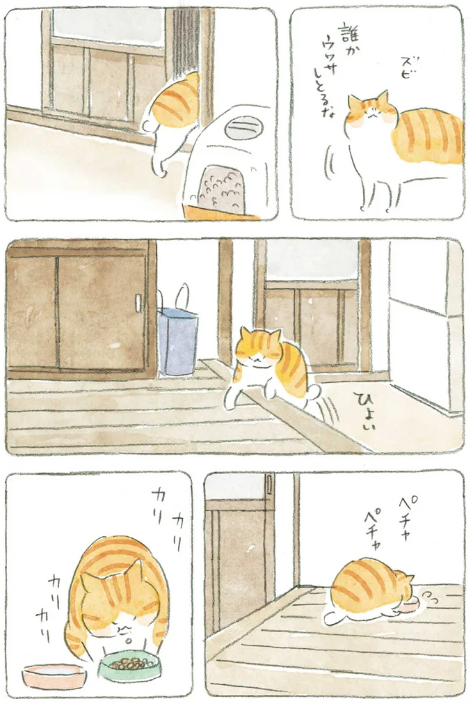 『ねことじいちゃん』1～5 15611069.webp