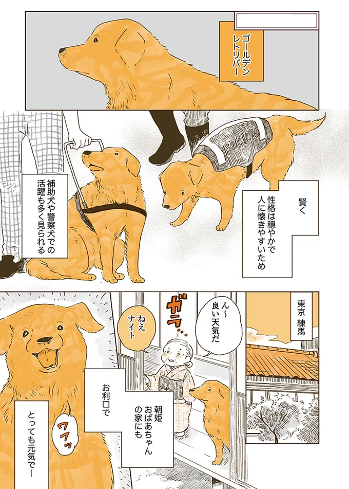 『姫ばあちゃんとナイト』1～2 15614365.webp