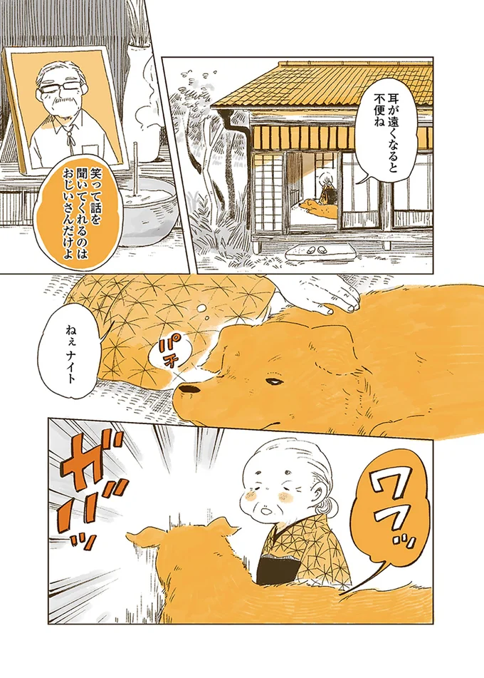 『姫ばあちゃんとナイト』1～2 15614825.webp