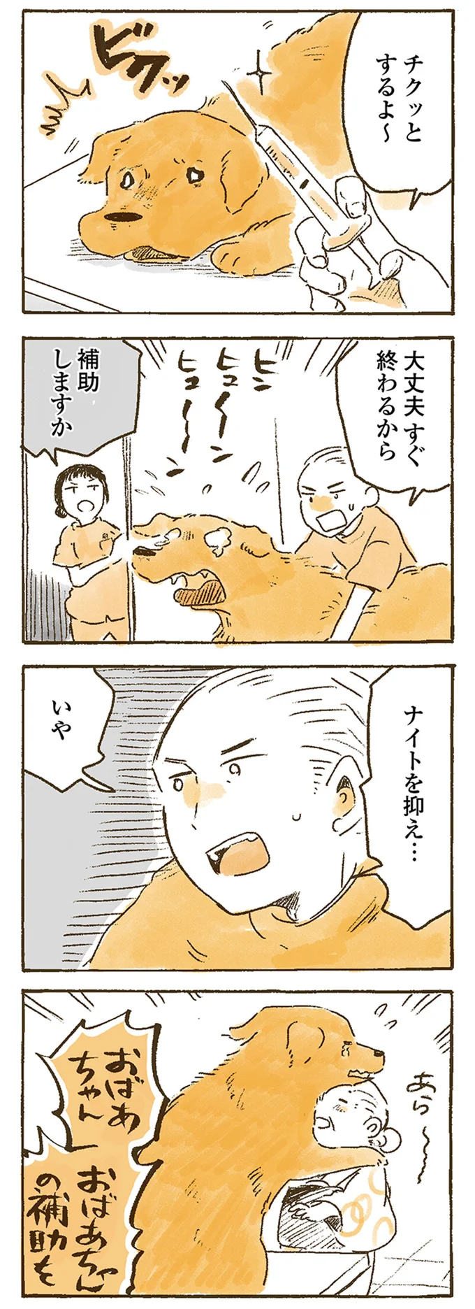 『姫ばあちゃんとナイト』1～2 15614936.webp