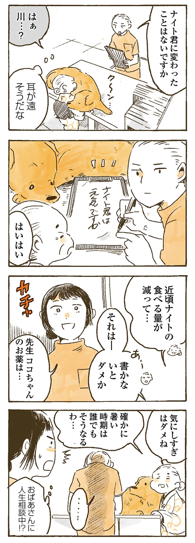 『姫ばあちゃんとナイト』1～2 15614937.webp